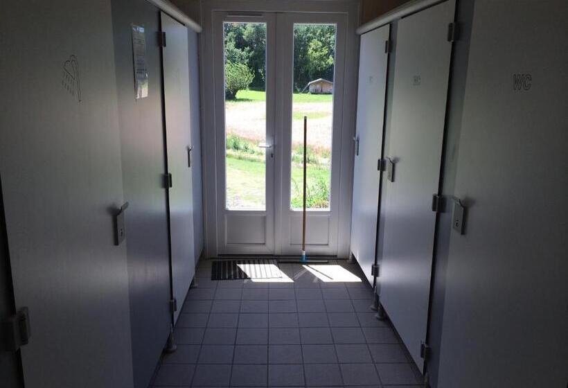 كوخ قياسي, Les ânes De Forcalquier