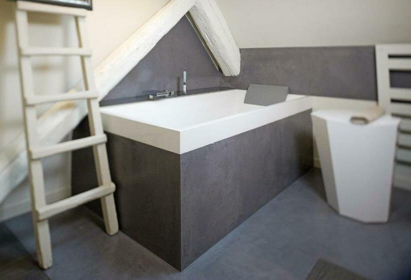 Апартаменты Дюплекс 1 Спальня, Maison D Hote De Myon