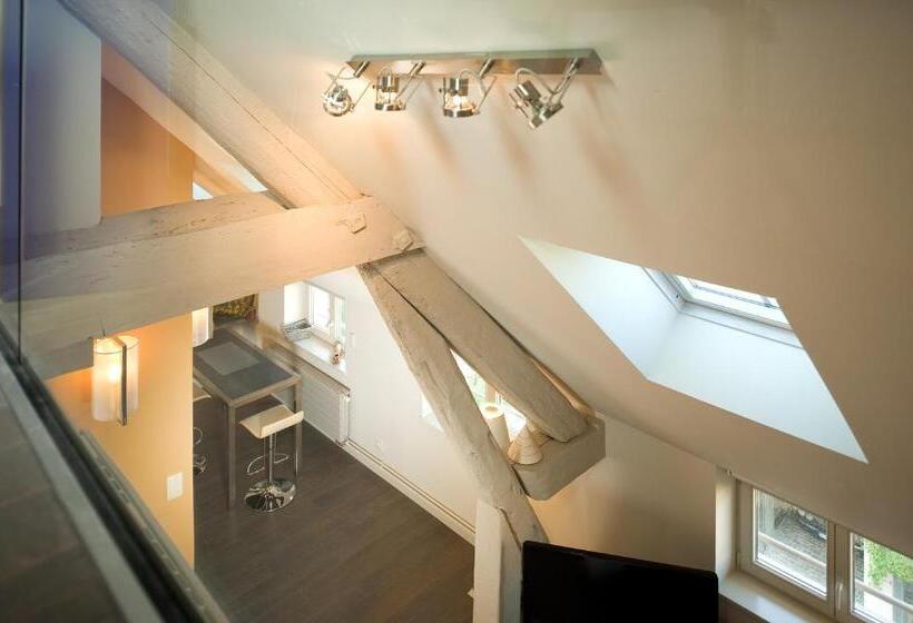 Апартаменты Дюплекс 1 Спальня, Maison D Hote De Myon