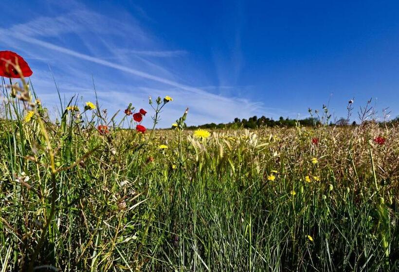 Дом 1 Спальня, Maison De Margot