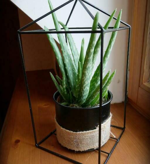 غرفة قياسية ثلاثية, Auberge De La Rivière