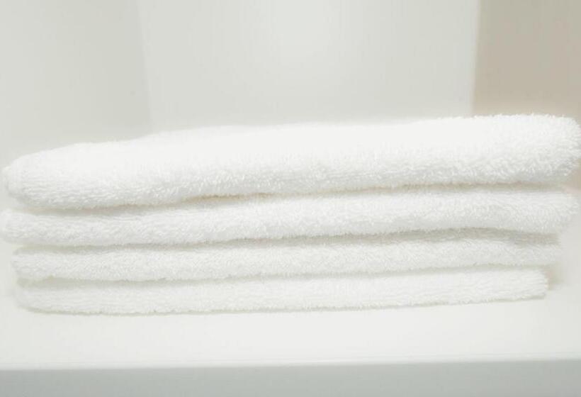 غرفة قياسية فردية لذوى الإحتياجات الخاصة, Domaine Du Haut Des Bluches