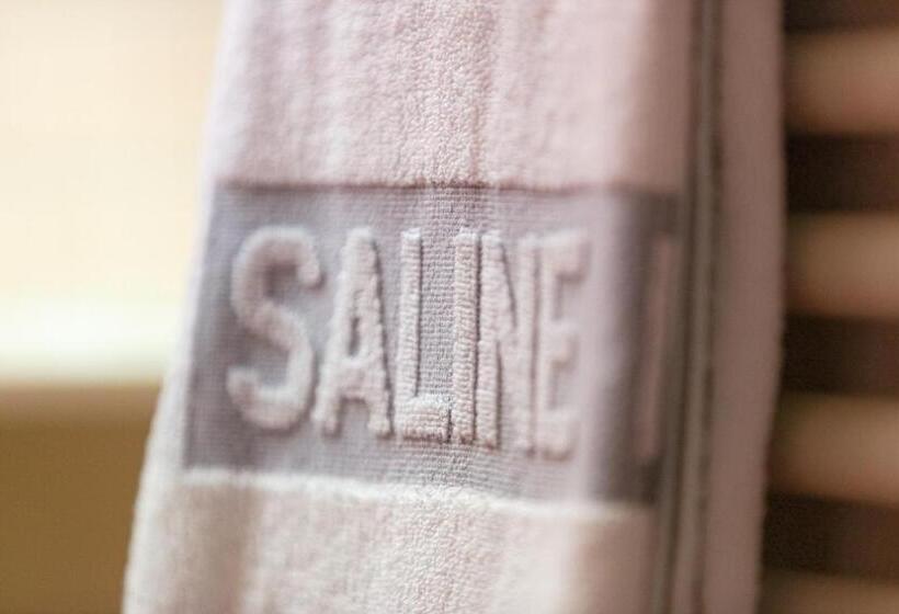 スタンダードトリプルルーム, La Saline Royale