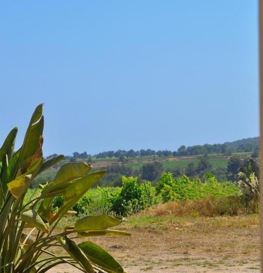 スーペリアールーム, Château La Sabine