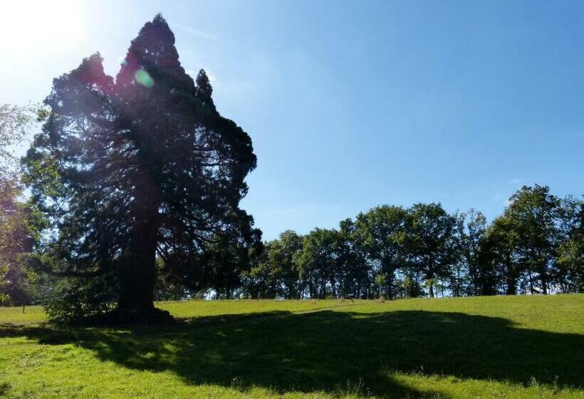 Номер Дюплекс, Domaine De Joreau