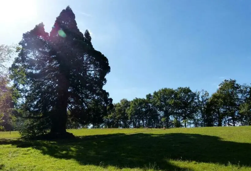 ドゥプレックスルーム, Domaine De Joreau