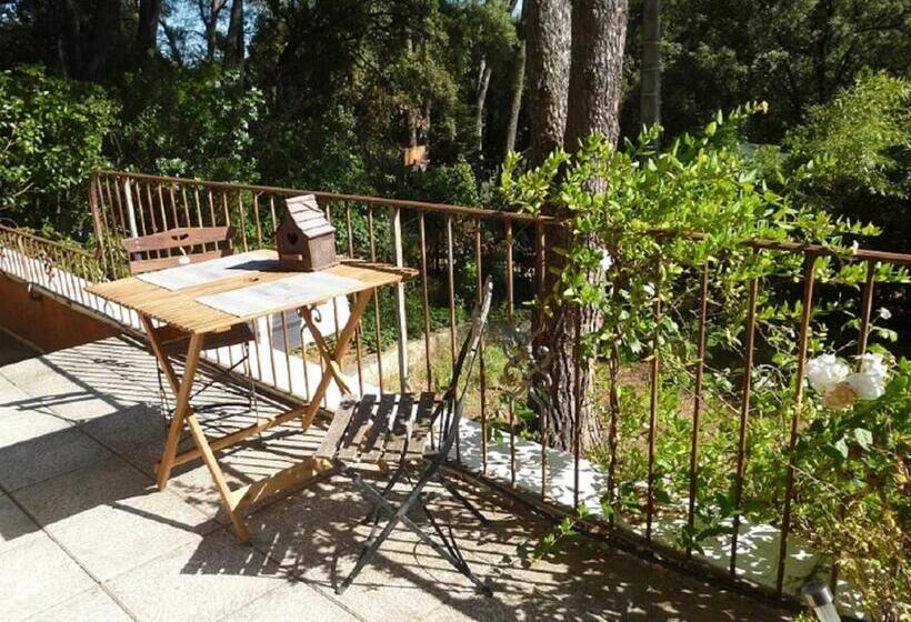 Студио Стандарт Вид на Сад, La Bastide Des Pins