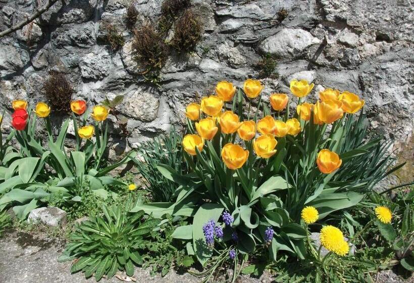 חדר סטנדרט, Le Domaine Du Grand Cellier Chambres D'hôtes En Savoie