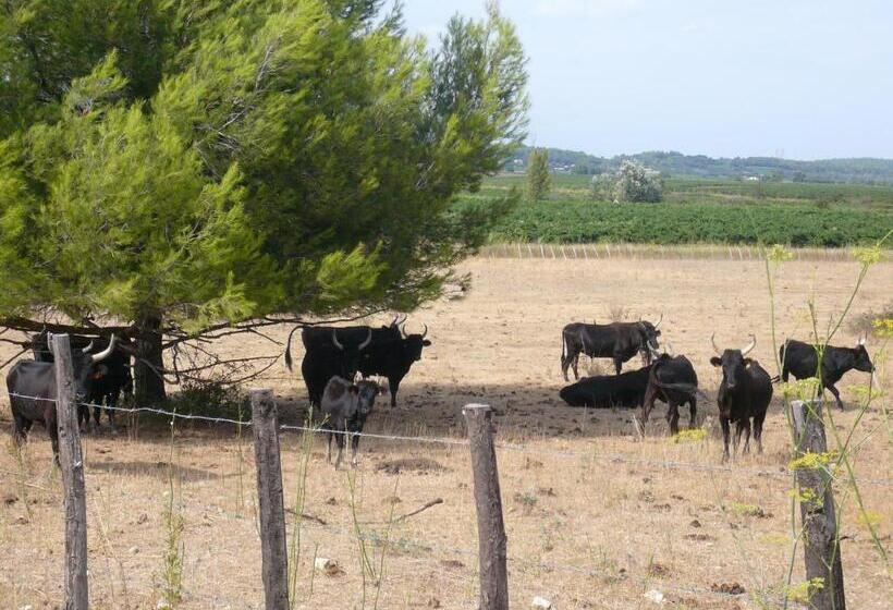 キャビン, Maison D'hôtes La Boca