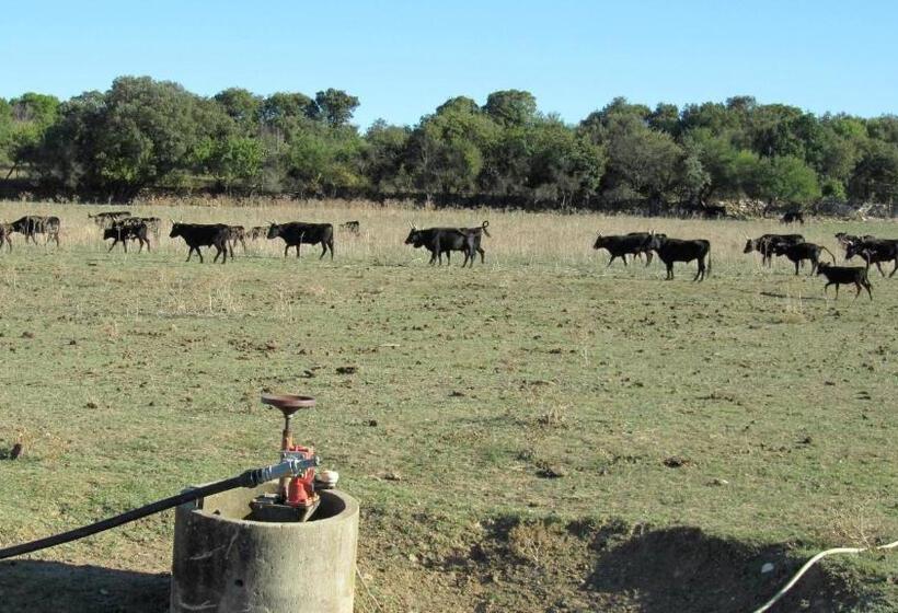キャビン, Maison D'hôtes La Boca