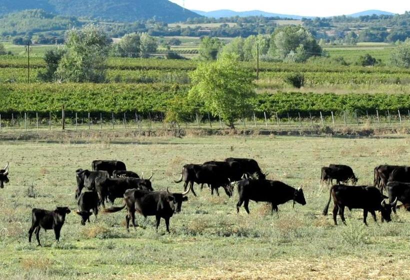 キャビン, Maison D'hôtes La Boca