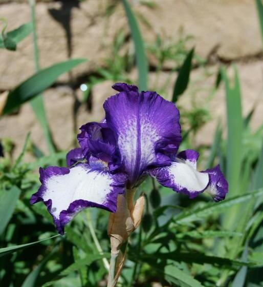 キャビン, Maison D'hôtes La Boca