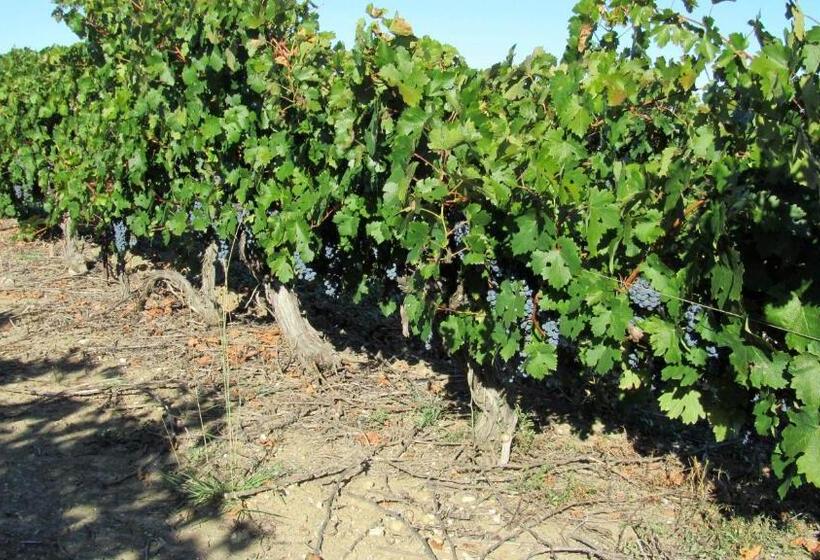 キャビン, Maison D'hôtes La Boca