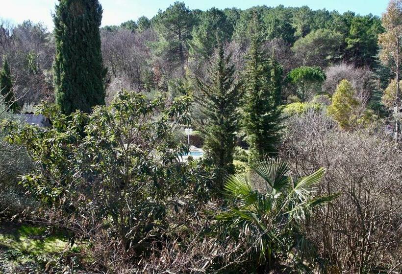 Номер Стандарт, Mas De La Filoselle