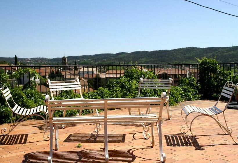 Номер Стандарт, Mas De La Filoselle