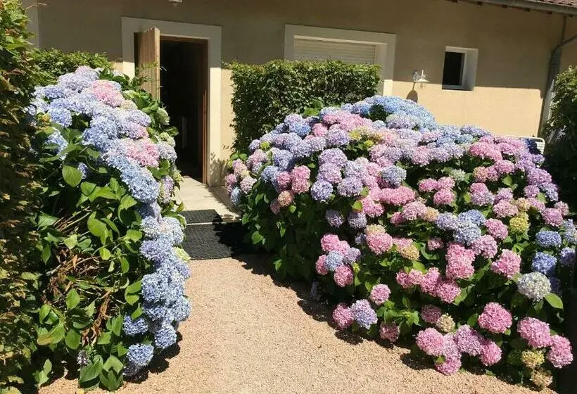 Standard-huone, Auberge Les Hauts De Chenas