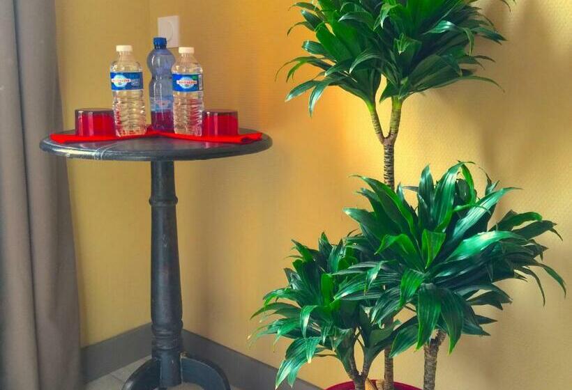 חדר סופריור לשלושה, L'estaminet