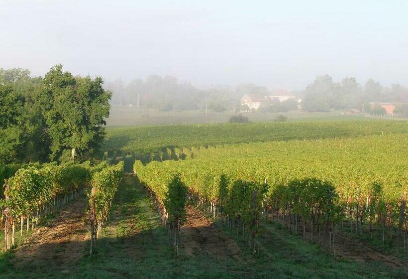 غرفة قياسية مطلّة علي الحديقة, Chambres D Hôtes   Dîners   Piscine   Centre Ville Bergerac 5km   Domaine De Bellevue Cottage