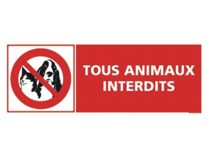 オーシャンビューのデラックストリプルルーム, La Metairie Du Vauhariot   Chambre Ou Lodge   Piscine Chauffée   Vue Mer Et Mont Saint Michel   Gr34