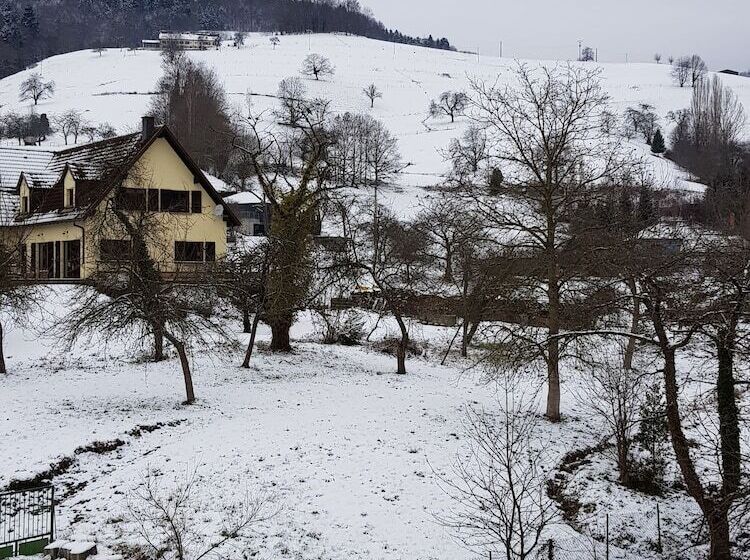 标准三人间, Au Vieux Moulin
