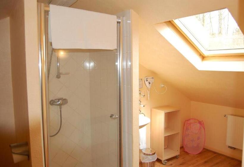 Номер Комфорт, Auberge Du Bord Des Eaux   Demi Pension Assurée Sur Réservation