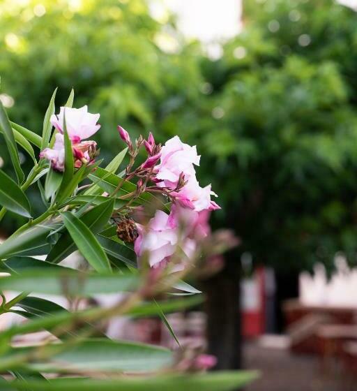 四人标准间, Hôtel Juantorena