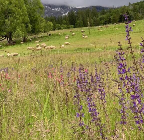 スタンダードトリプルルーム, Hôtel L équipe