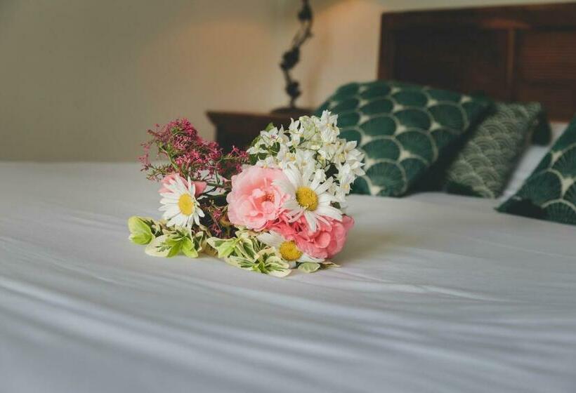 غرفة سوبيريور, Hôtel Restaurant Côté Rivage