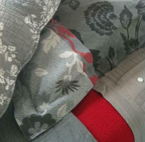 غرفة قياسية, La Bastide De Pont Royal