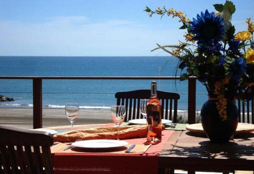 オーシャンビューのテラス付１ベッドルームアパート, Le Grand Large Bord De Mer Hotel & Appartements