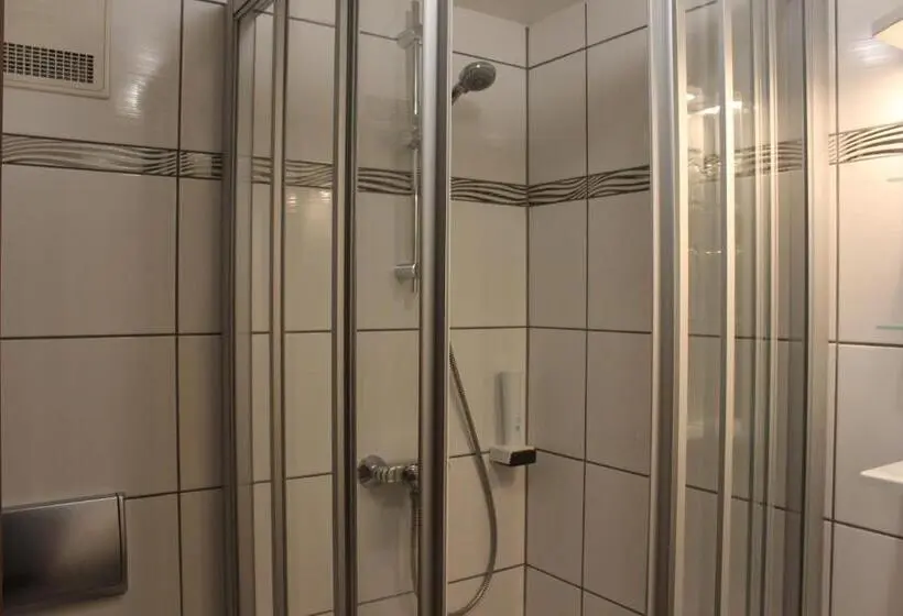 اتاق استاندارد یک نفره, Airport Hotel Zum Taubengrund