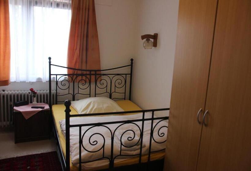 اتاق استاندارد یک تخته با سرویس بهداشتی مشترک, Airport Hotel Zum Taubengrund