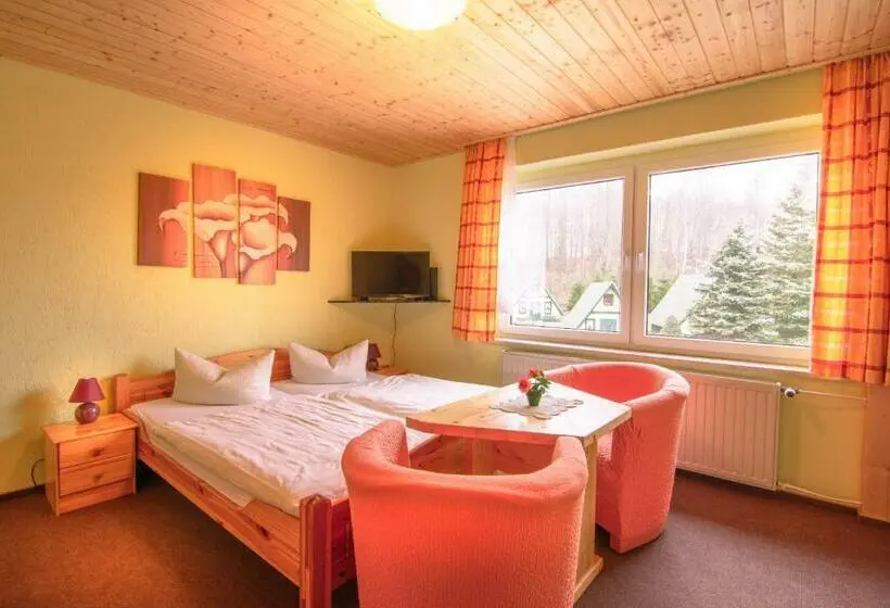 Standard-huone, Ferienhotel Goldhübel