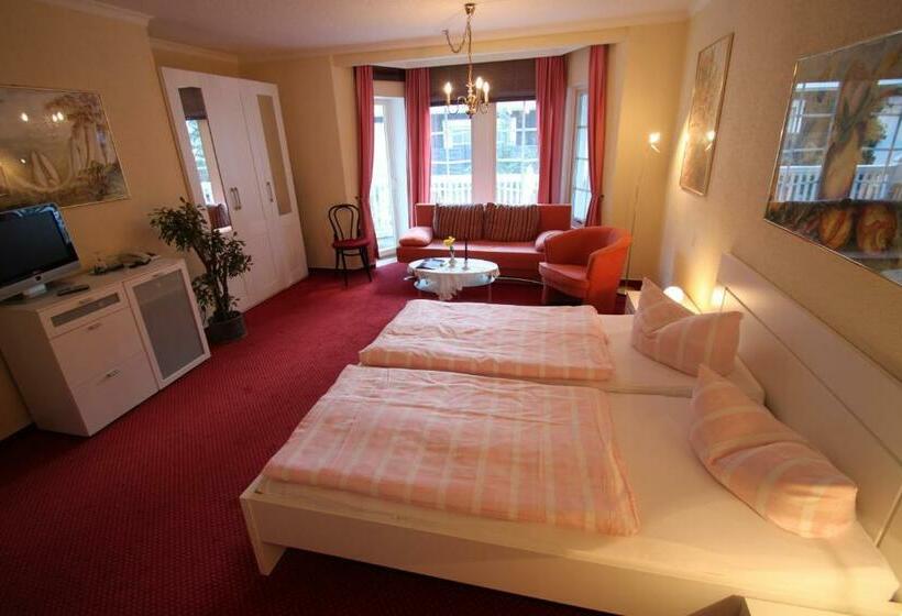 Номер Стандарт с Балконом, Im Schwedischen Hof