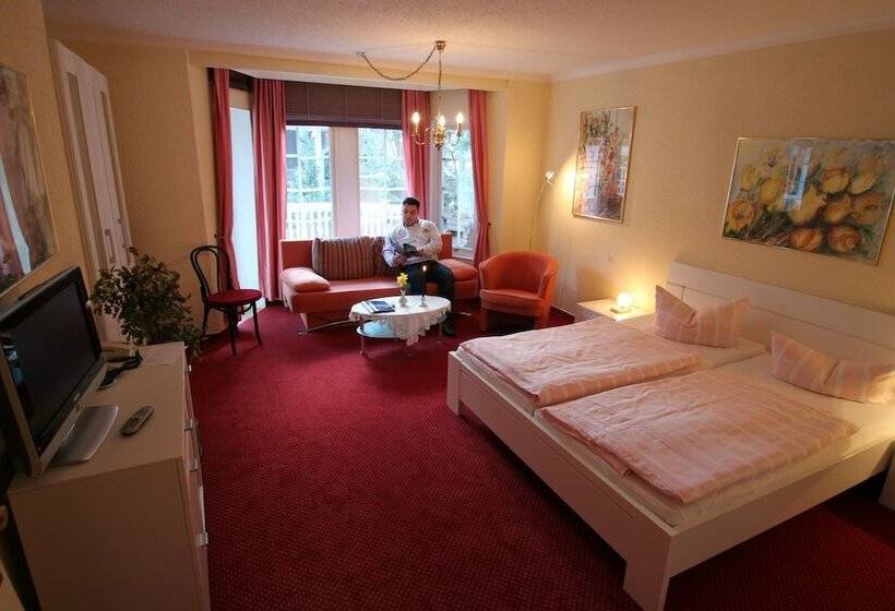 Номер Стандарт с Балконом, Im Schwedischen Hof