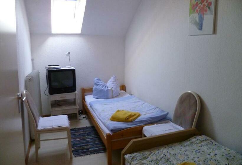 غرفة عائلية, Rotbuche