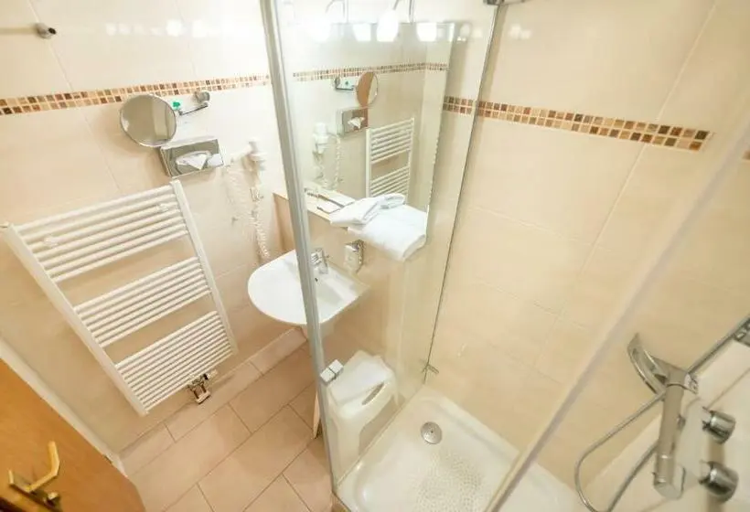Standard Yhden Hengen Huone, Centralhotel Binz
