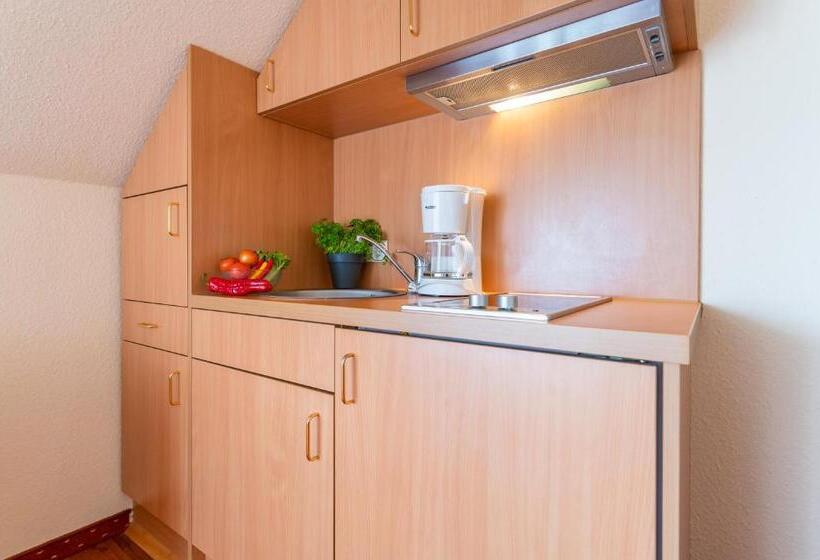 Апартаменты 1 Спальня, Centralhotel Binz