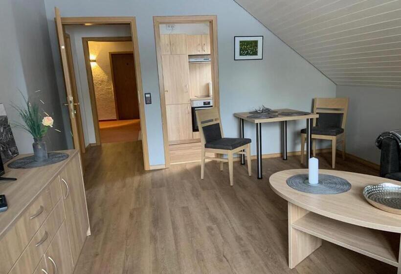 آپارتمان 1 خوابه با بالکن, Landhaus Fischer