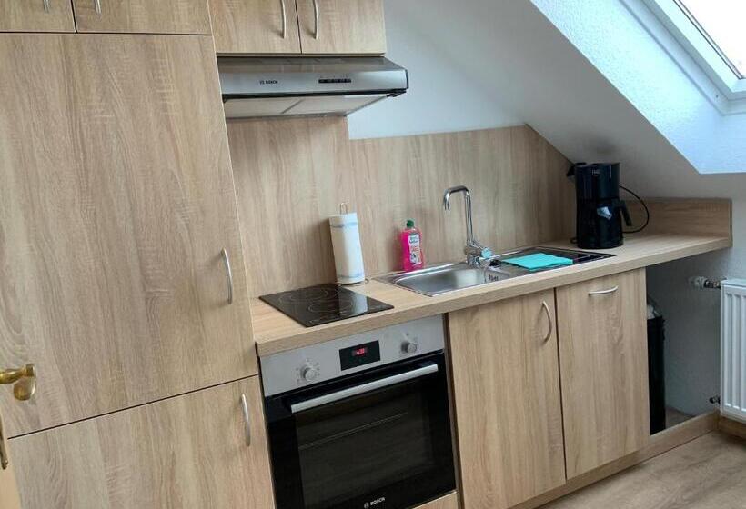 آپارتمان 1 خوابه با بالکن, Landhaus Fischer