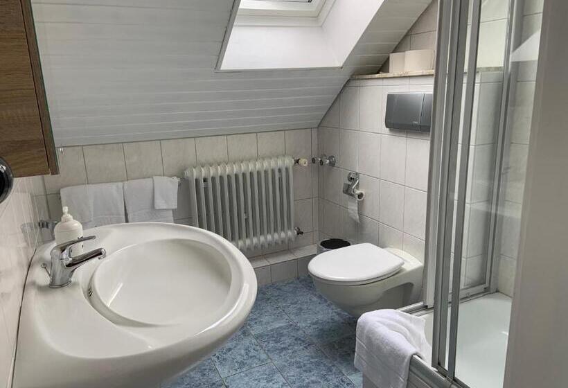 آپارتمان 1 خوابه با بالکن, Landhaus Fischer