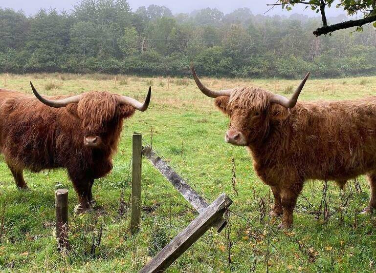 غرفة قياسية, Alderdale B&b