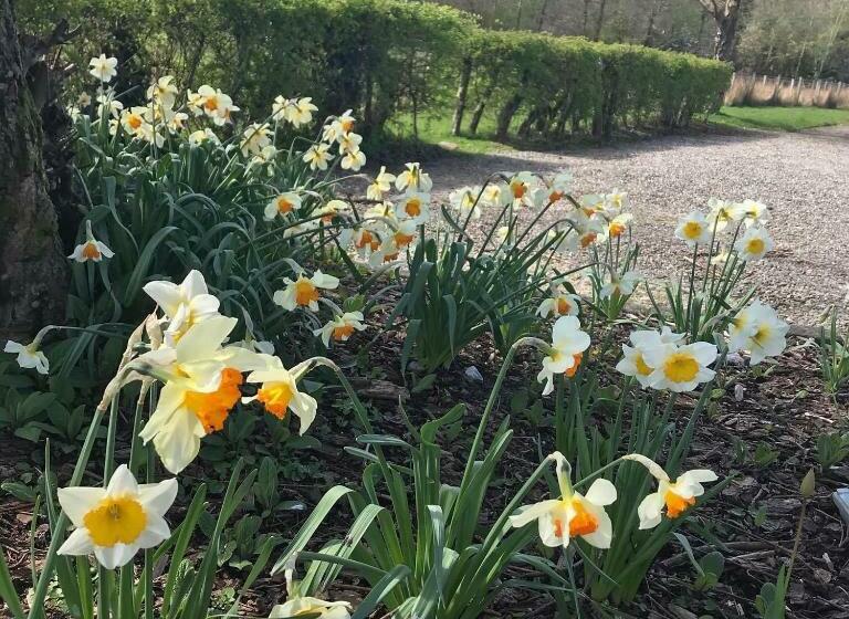 Номер Стандарт, Alderdale B&b