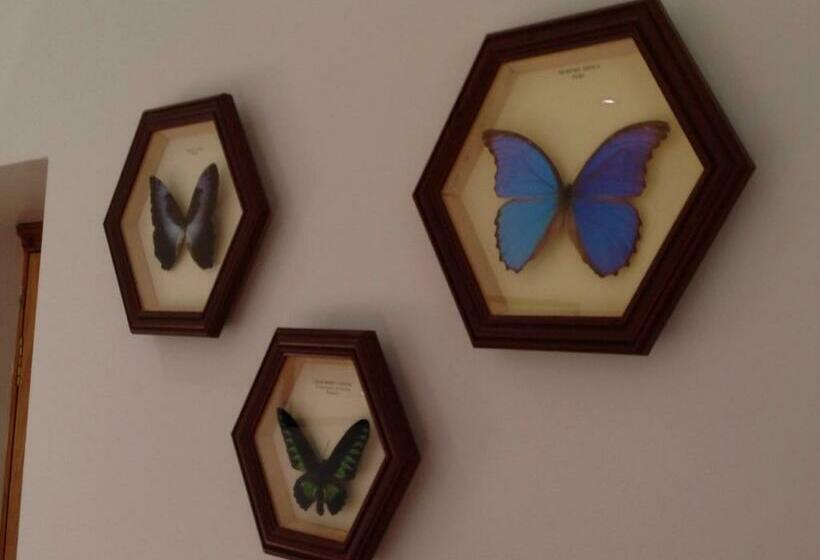 Номер Deluxe, Gardeners Cottage B And B