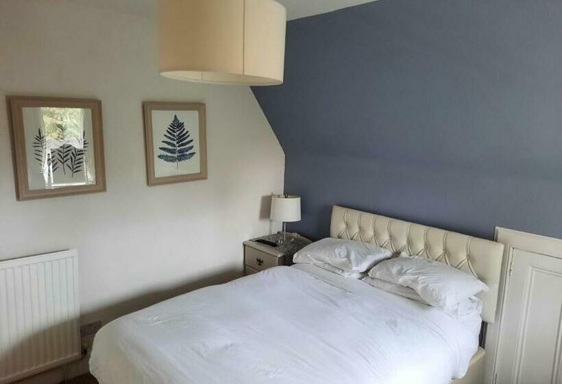 חדר סטנדרט, Jacobite Rose