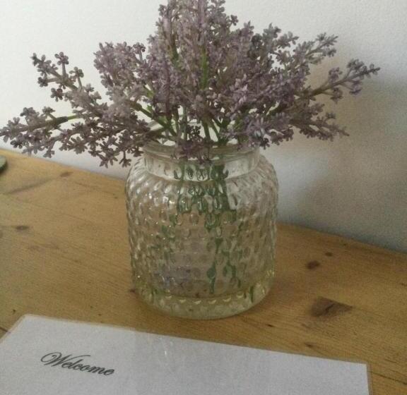 חדר סטנדרט, Park Dene Room Only