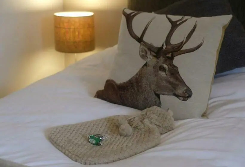 Standard-huone Puutarhanäkymä, Morlea Bed & Breakfast