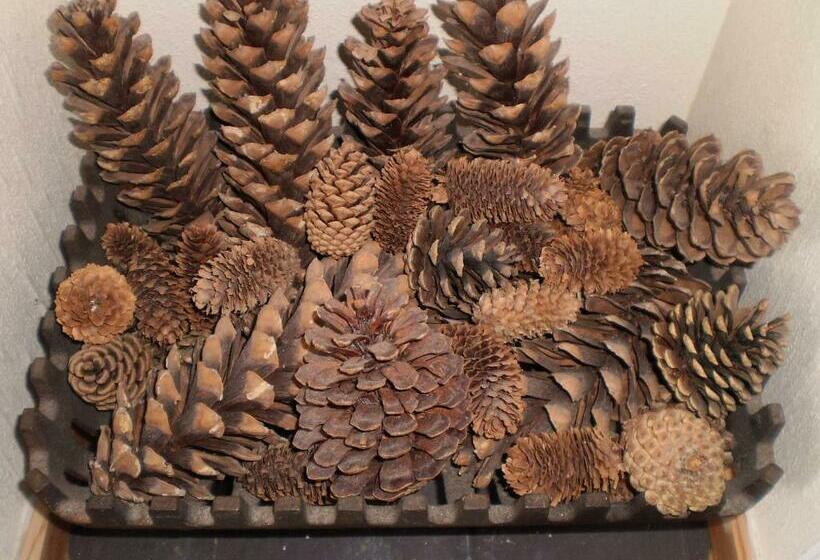 스탠다드 룸, Sportsmans Lodge Bed And Breakfast