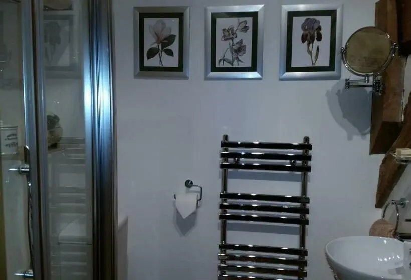 マウンテンビュースタンダードルーム, Ty Derw Country House B&b