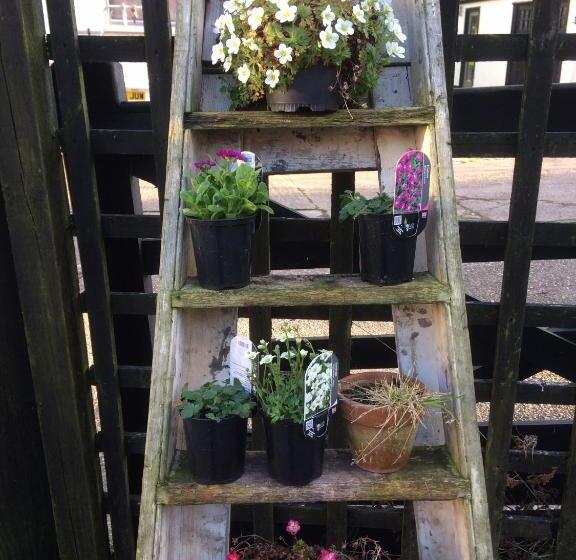 דירת חדר בקומת קרקע, Valley Farmhouse B&b